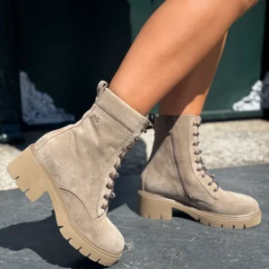Bota