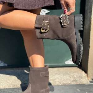 Bota